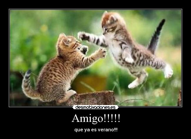 Amigo!!!!! - que ya es verano!!!