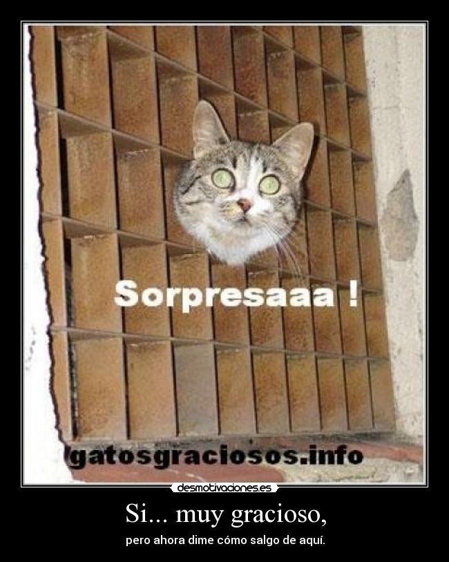 Si... muy gracioso, - pero ahora dime cómo salgo de aquí.