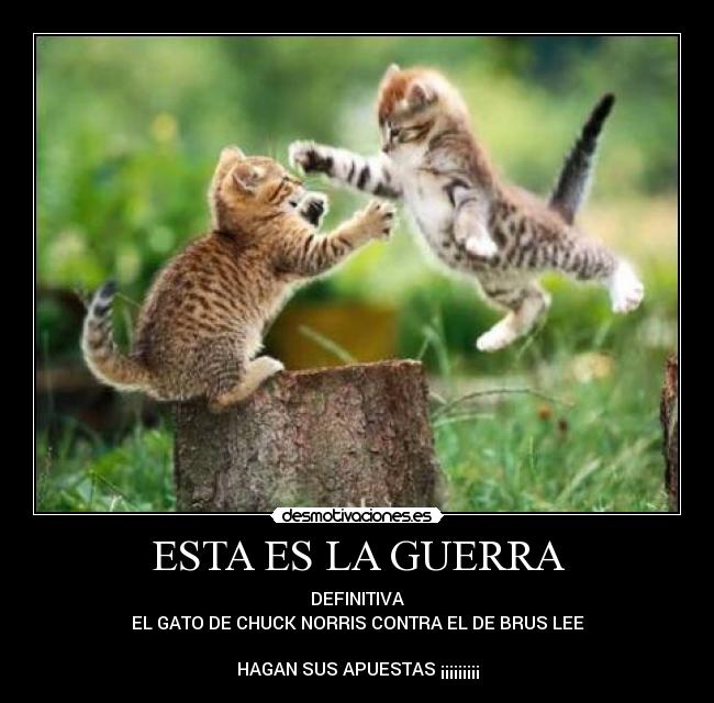 ESTA ES LA GUERRA -