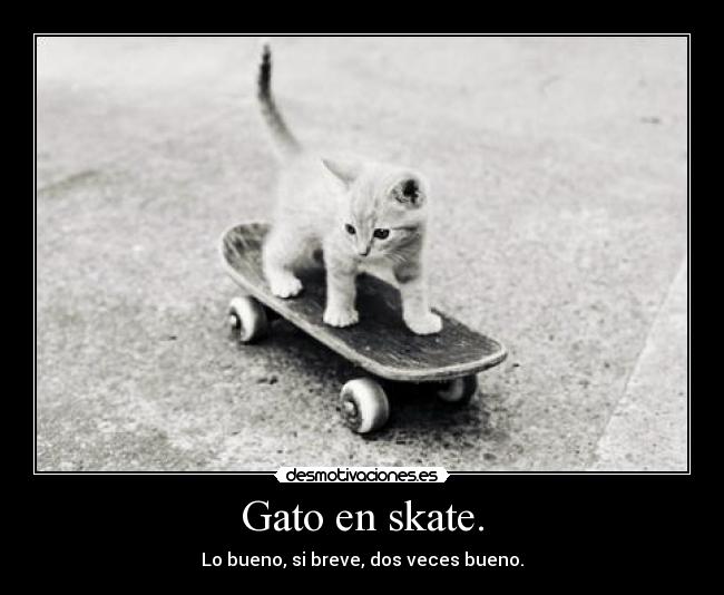 Gato en skate. - Lo bueno, si breve, dos veces bueno.