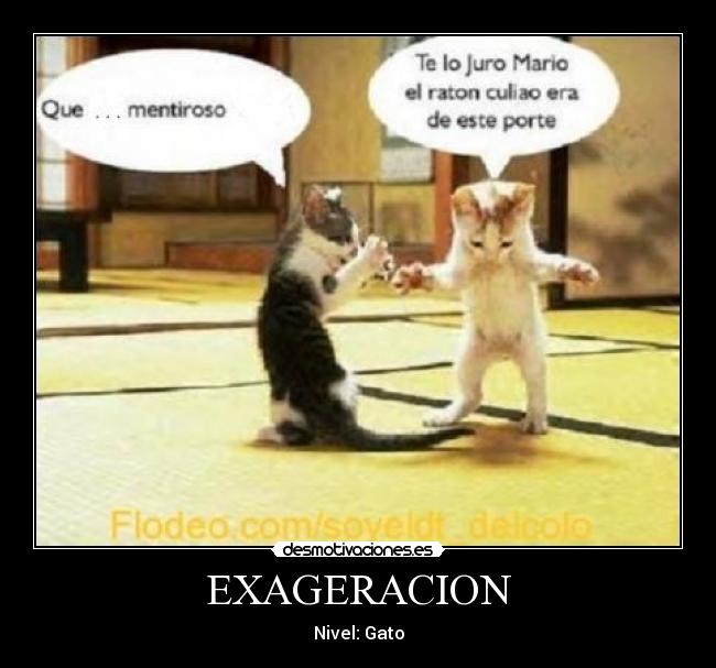EXAGERACION - Nivel: Gato