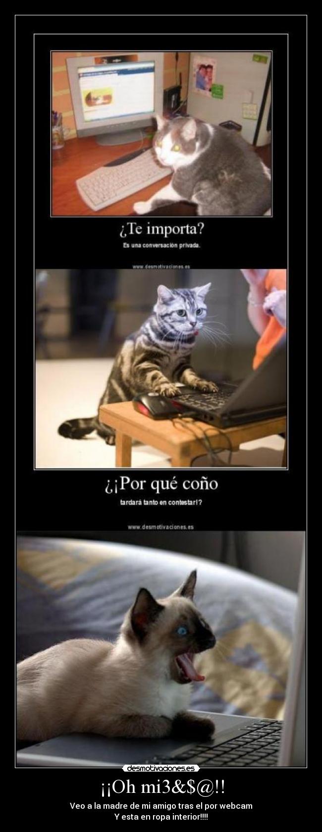 ¡¡Oh mi3&$@!! - Veo a la madre de mi amigo tras el por webcam
Y esta en ropa interior!!!!