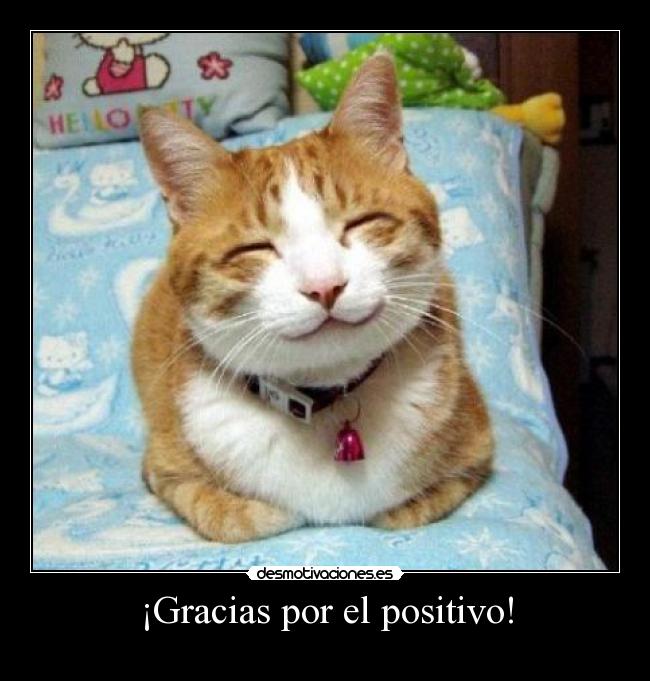 ¡Gracias por el positivo! -