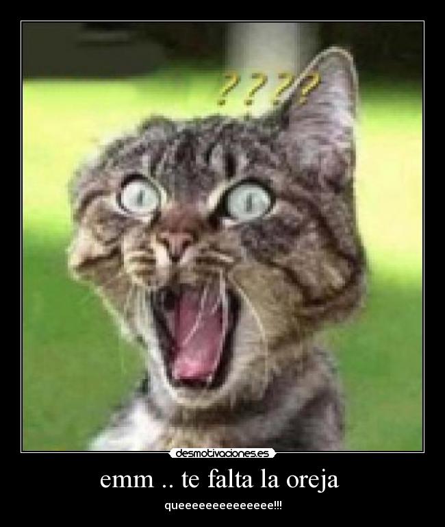 emm .. te falta la oreja -