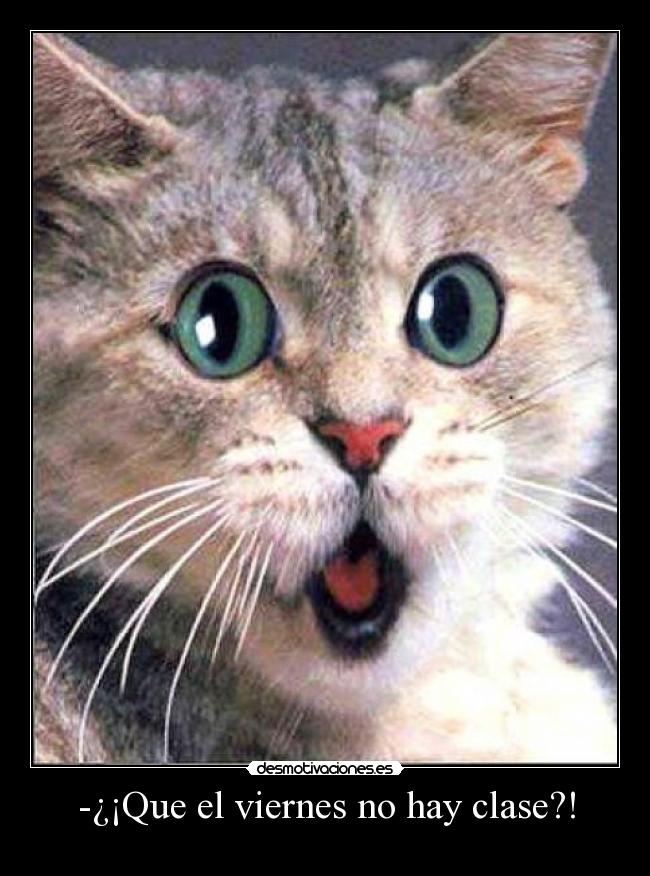 -¿¡Que el viernes no hay clase?! -