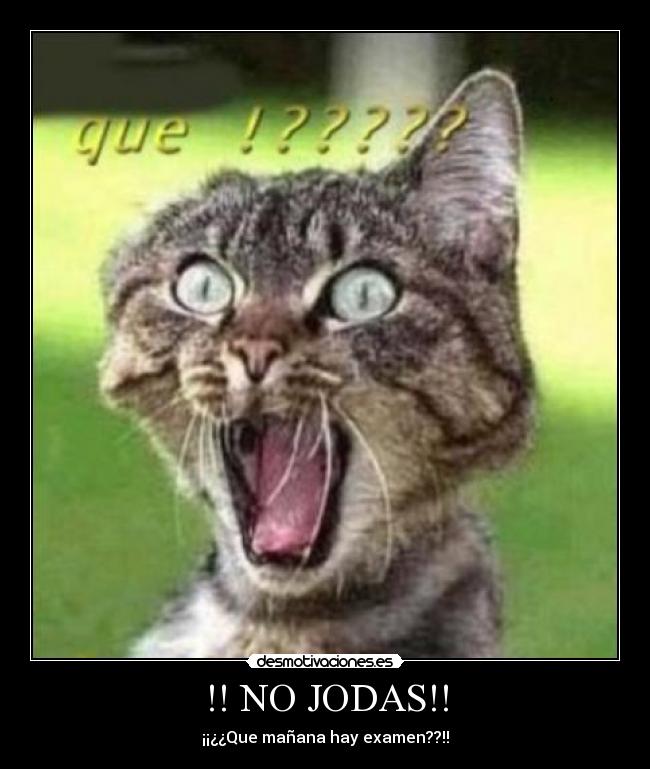 !! NO JODAS!! - ¡¡¿¿Que mañana hay examen??!!