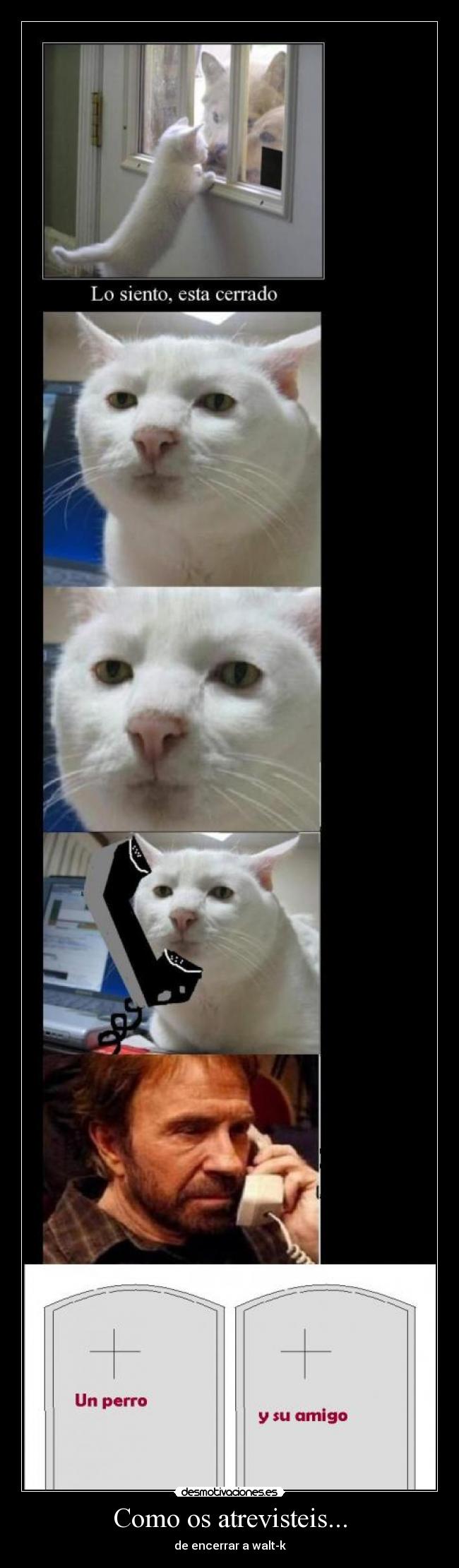 Como os atrevisteis... - de encerrar a walt-k