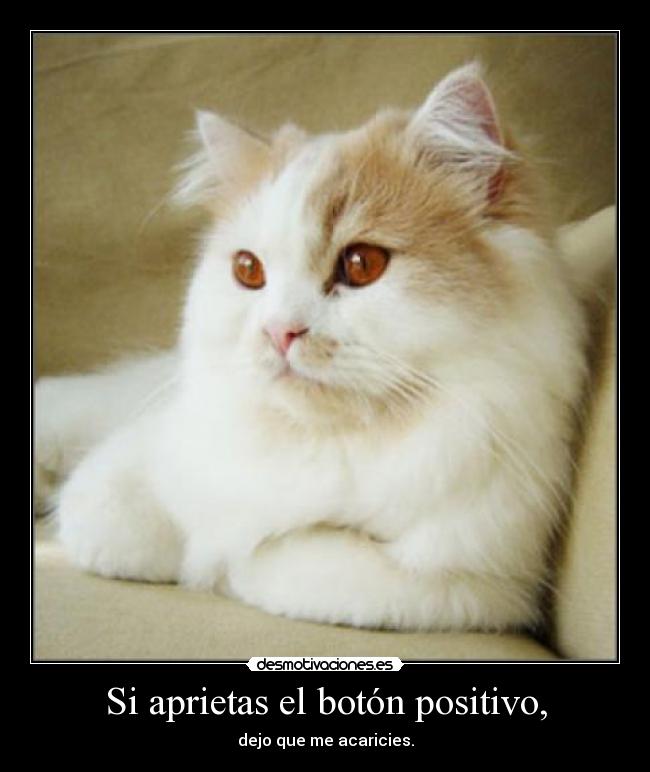 Si aprietas el botón positivo, - dejo que me acaricies.