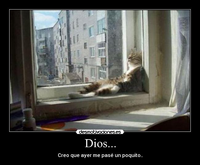 Dios... - Creo que ayer me pasé un poquito..