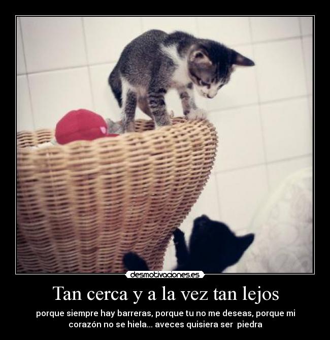 Tan cerca y a la vez tan lejos - porque siempre hay barreras, porque tu no me deseas, porque mi
corazón no se hiela... aveces quisiera ser  piedra