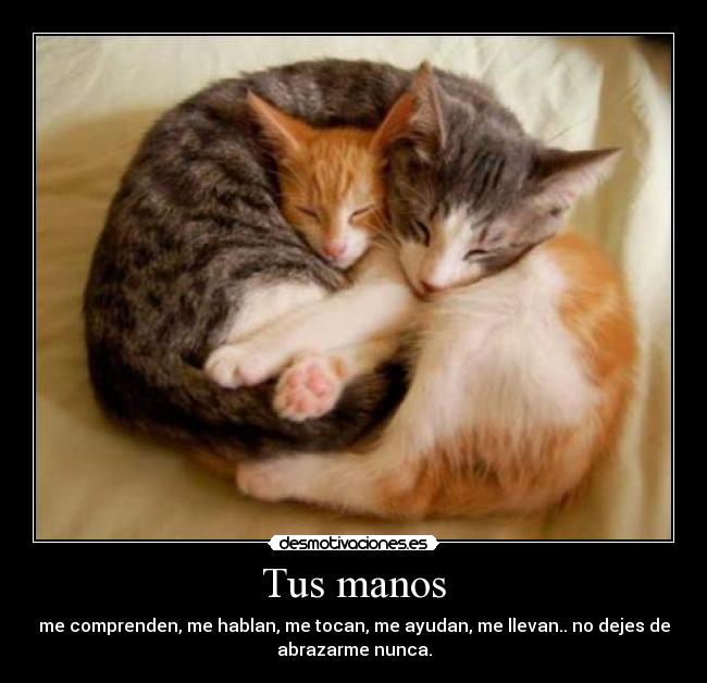 Tus manos -