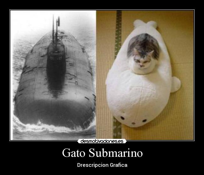 Gato Submarino - Drescripcion Grafica