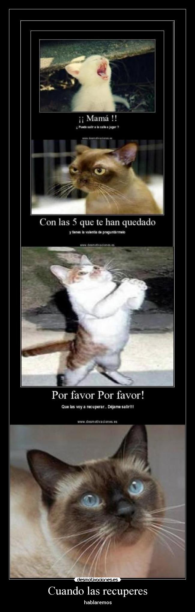 Cuando las recuperes - hablaremos