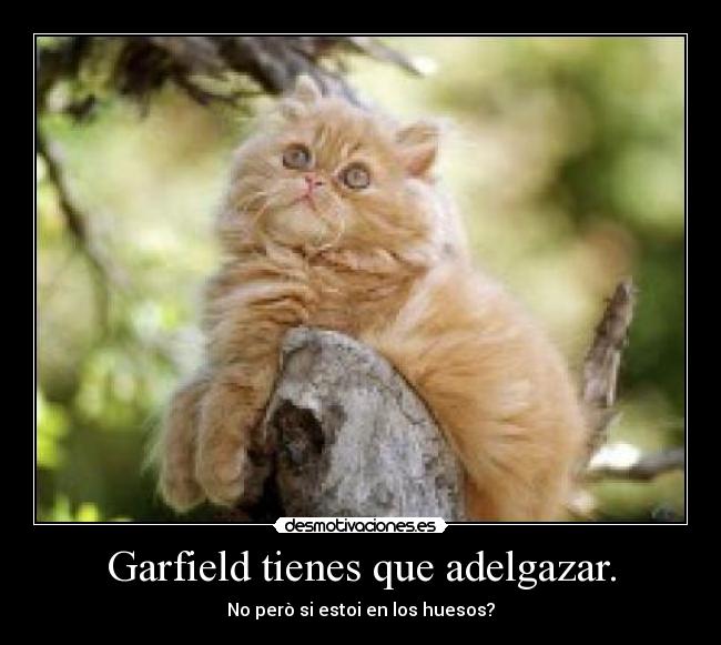 Garfield tienes que adelgazar. - No però si estoi en los huesos?