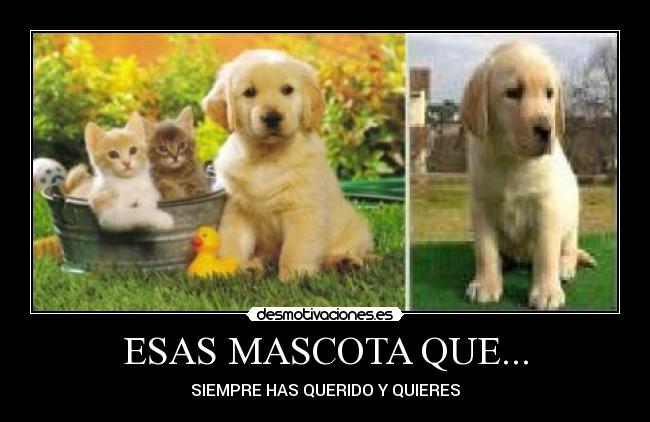 carteles pedrito_79 desmotivaciones