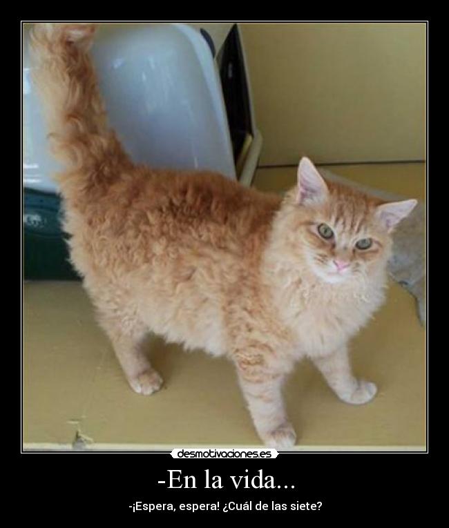 -En la vida... - 