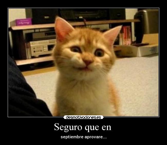 Seguro que en - septiembre aprovare....