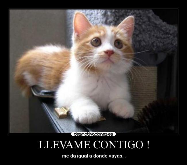 LLEVAME CONTIGO ! -