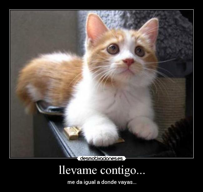 llevame contigo... - 