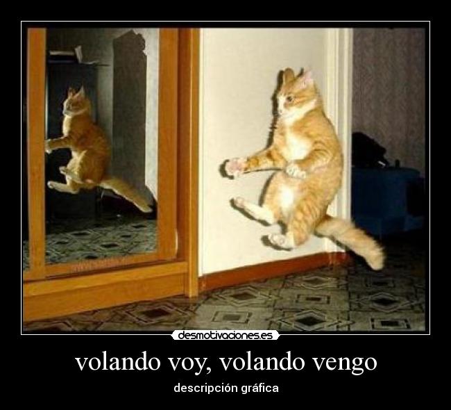 volando voy, volando vengo - 