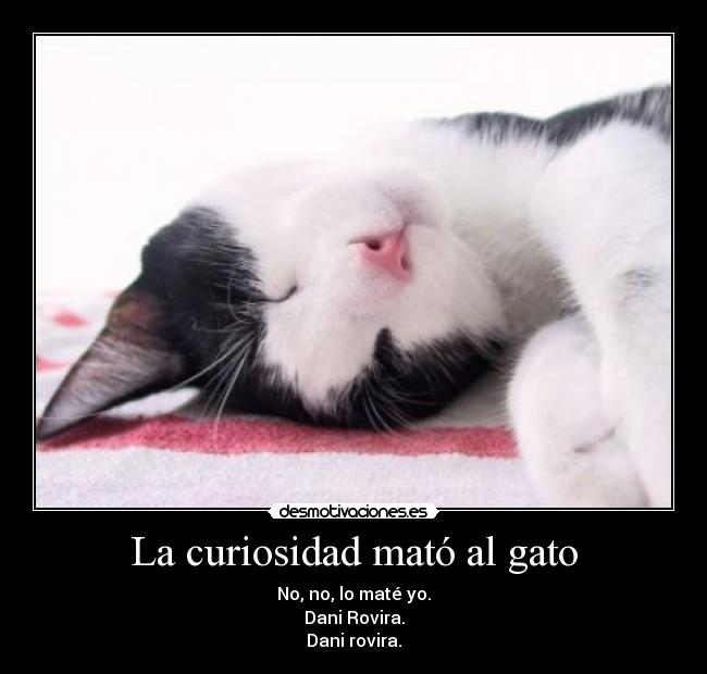La curiosidad mató al gato - No, no, lo maté yo.
Dani Rovira.
Dani rovira.