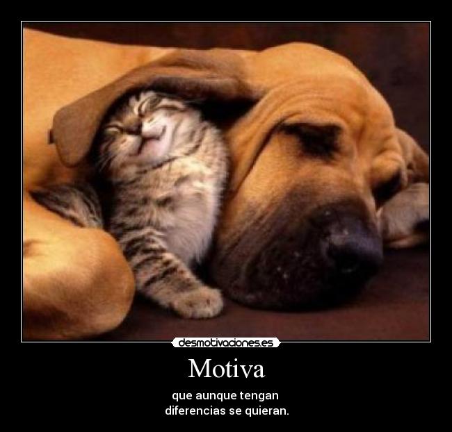 Motiva - que aunque tengan
diferencias se quieran.
