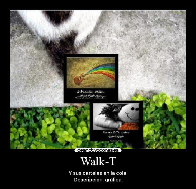Walk-T -