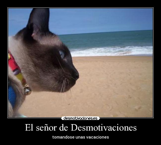 El señor de Desmotivaciones - tomandose unas vacaciones