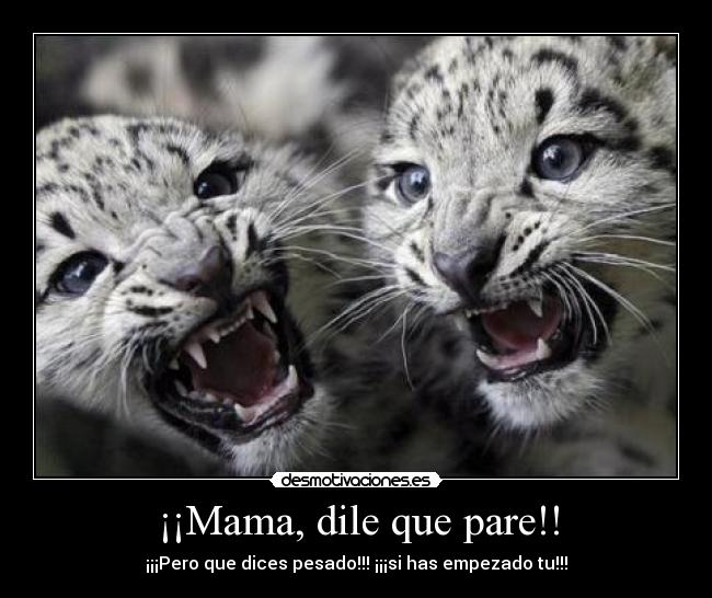 ¡¡Mama, dile que pare!! - ¡¡¡Pero que dices pesado!!! ¡¡¡si has empezado tu!!!