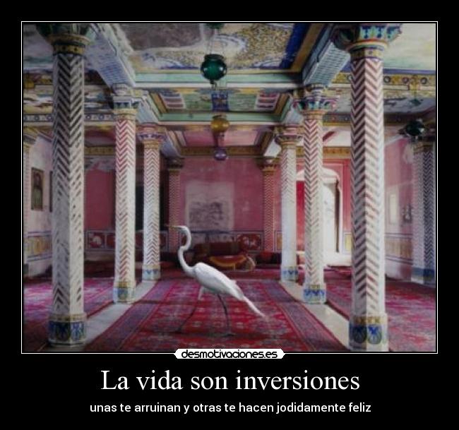 La vida son inversiones - unas te arruinan y otras te hacen jodidamente feliz