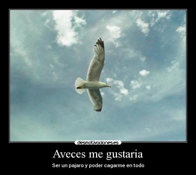 Aveces me gustaria -