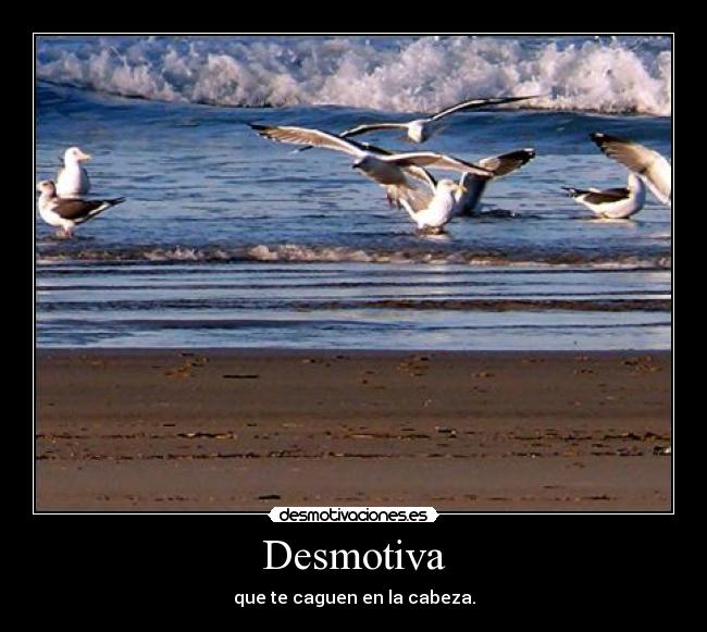 Desmotiva - que te caguen en la cabeza.