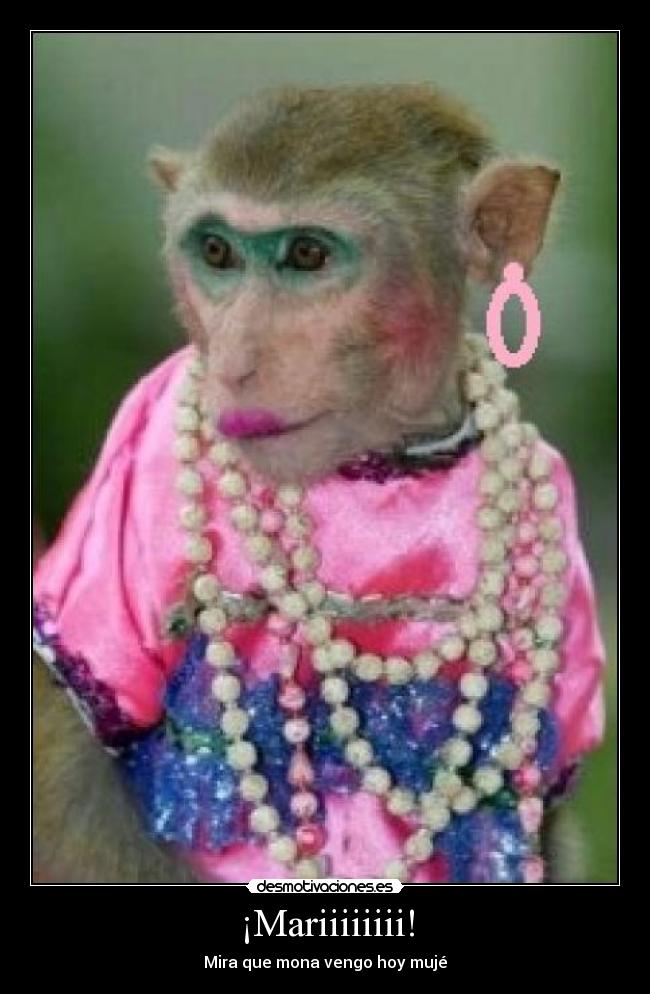 ¡Mariiiiiiii! -