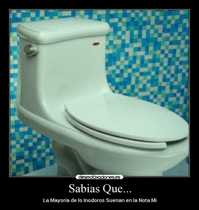 Sabias Que... - 