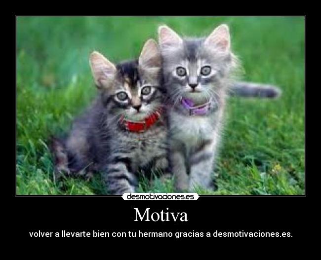 carteles motiva desmotivaciones