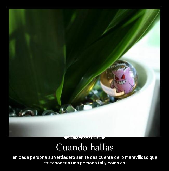Cuando hallas - en cada persona su verdadero ser, te das cuenta de lo maravilloso que
es conocer a una persona tal y como es.