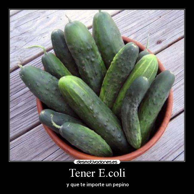 Tener E.coli - 