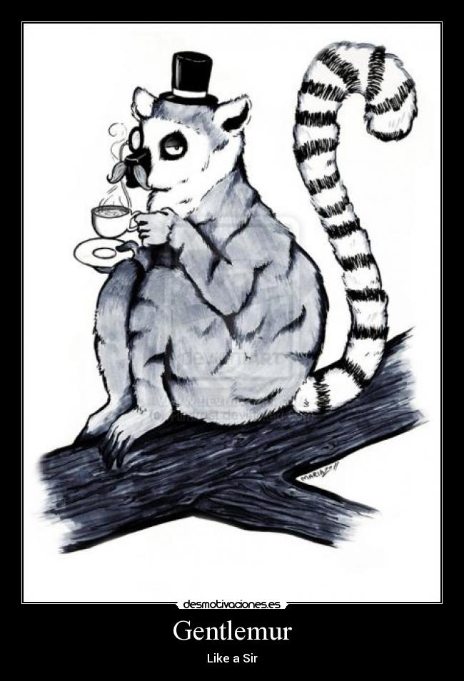 Gentlemur - Like a Sir