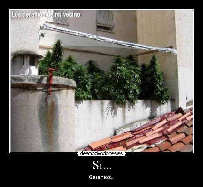 carteles geranios vecino desmotivaciones