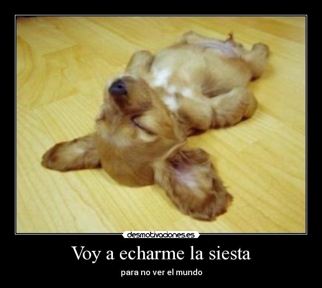 Voy a echarme la siesta - para no ver el mundo