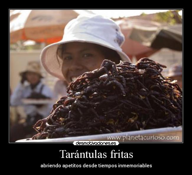 Tarántulas fritas - abriendo apetitos desde tiempos inmemoriables