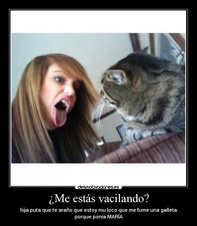 ¿Me estás vacilando? - hija puta que te araño que estoy mu loco que me fume una galleta
porque ponía MARÍA
