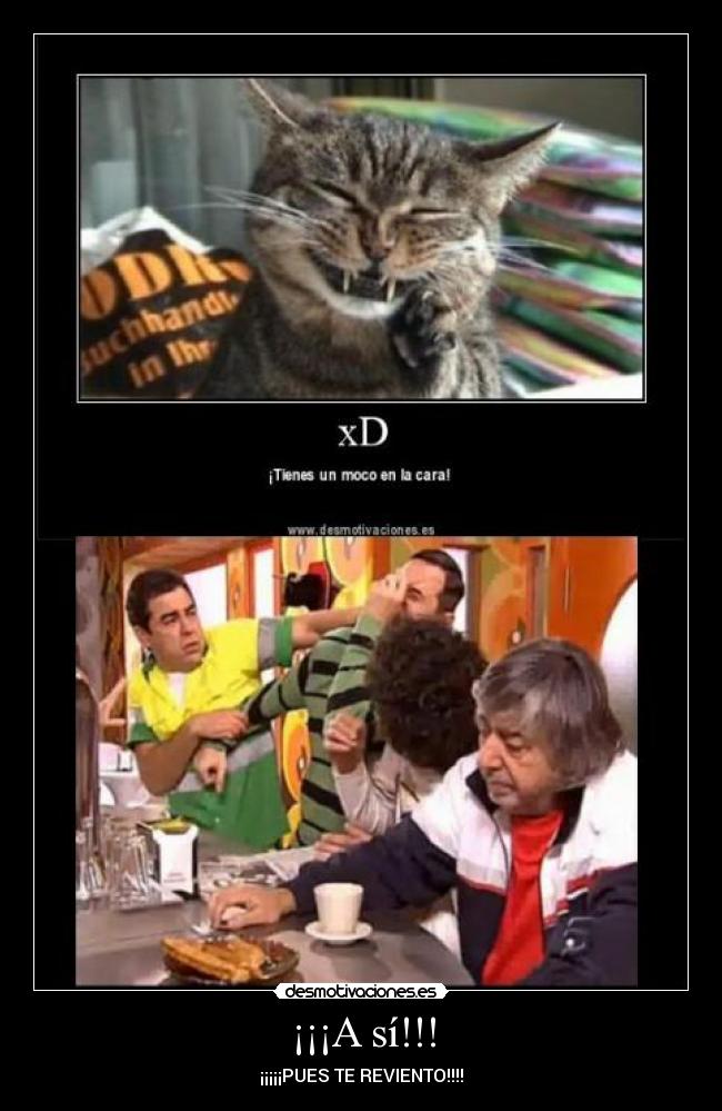 ¡¡¡A sí!!! - 