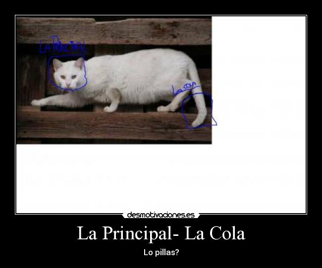 La Principal- La Cola -