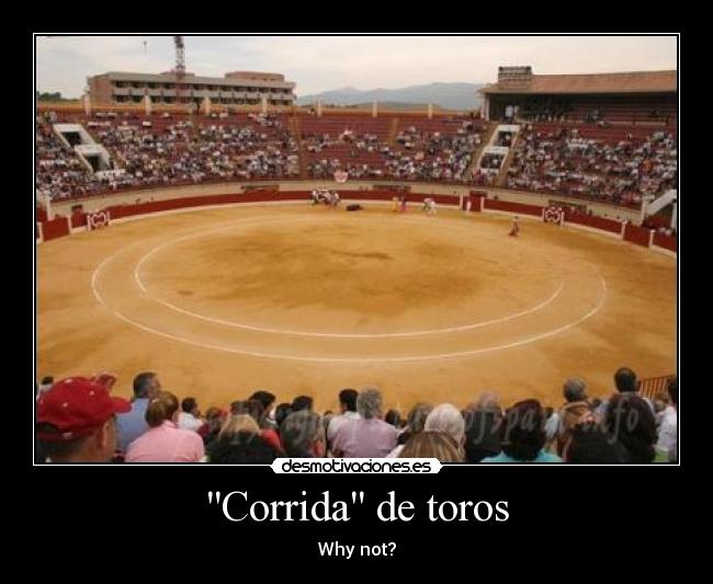 Corrida de toros - Why not?