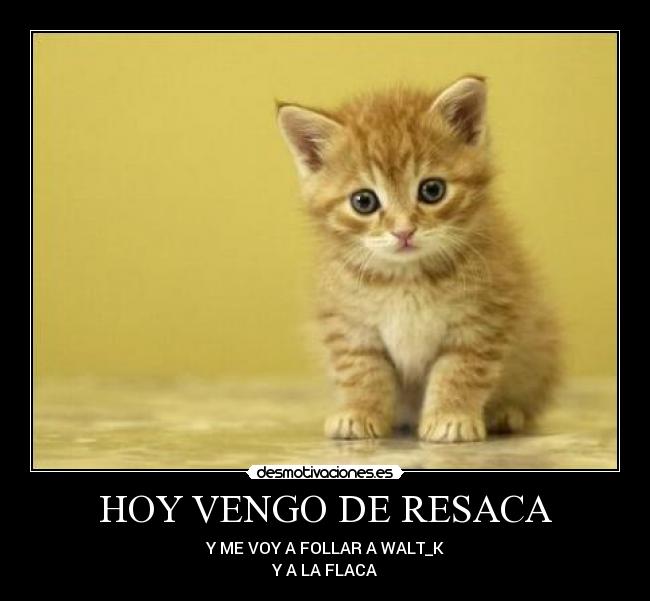 HOY VENGO DE RESACA -