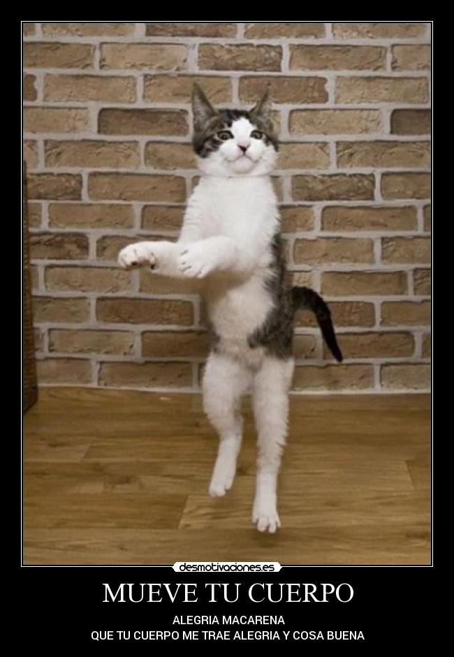 MUEVE TU CUERPO - ALEGRIA MACARENA
QUE TU CUERPO ME TRAE ALEGRIA Y COSA BUENA