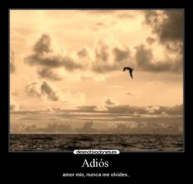 Adiós  - amor mío, nunca me olvides.. 