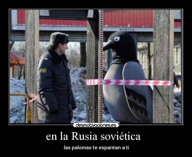 en la Rusia soviética   - las palomas te espantan a ti