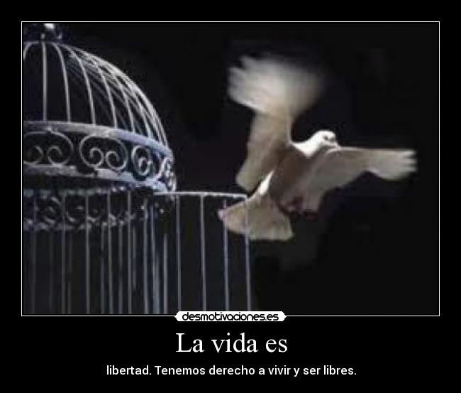 La vida es -